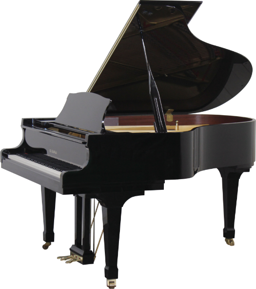 Traders and music shops from all over the world, please contact us for further information.